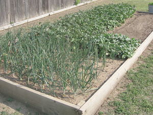 Heights resident is a model of the sustainable lifestyle